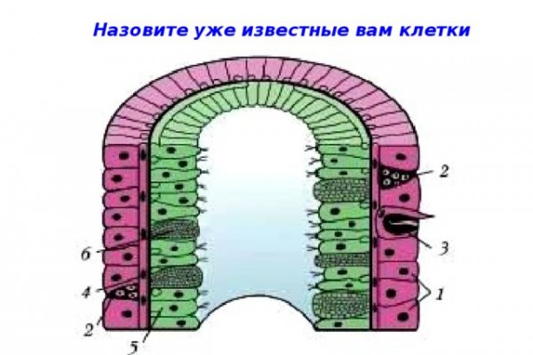 Актуальная ссылка на кракен kraken
