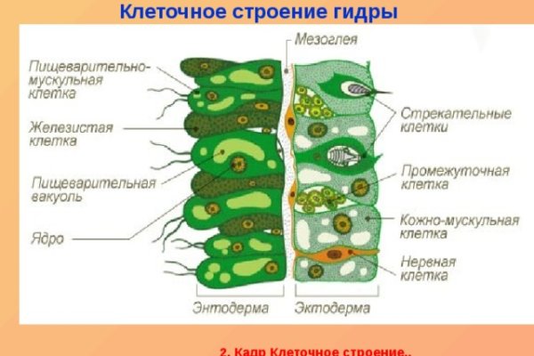 Mega darknet ссылка