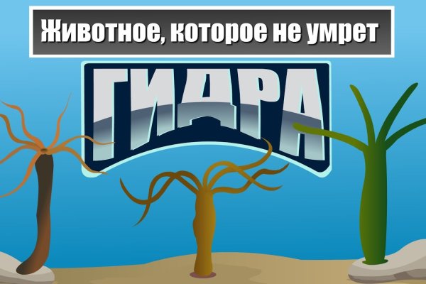 Кракен маркет плей